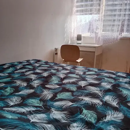 Проживание в семье La Madriguera