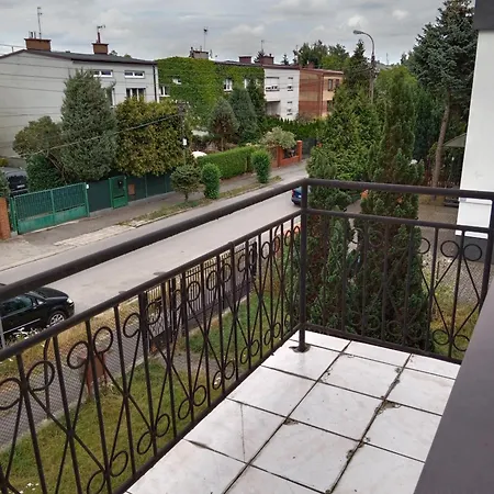 La Madriguera * Рашин